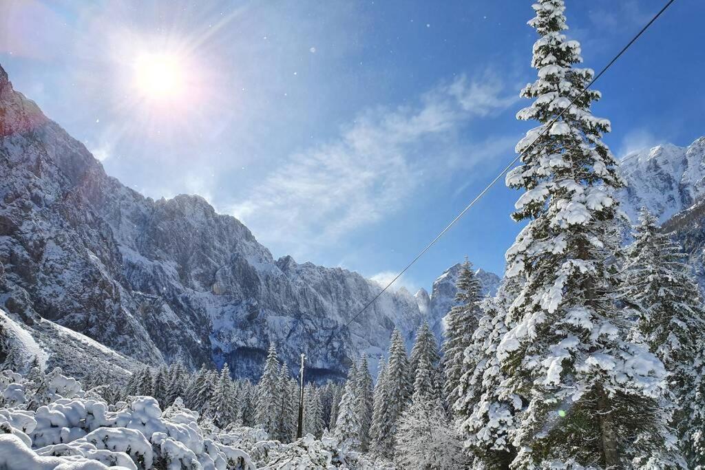 Apartma Kreda Mojstrana Bagian luar foto